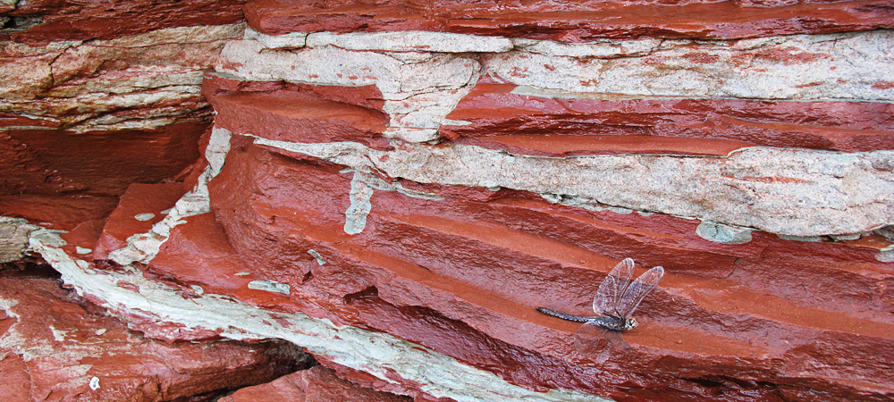 Canada - Nova Scotia - Sand-filled mud cracks